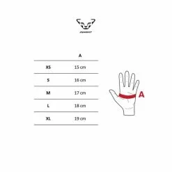 Guanti Lunghi Dynafit Ride Blu Logo Bianco 7 Guanti Lunghi Dynafit Ride Blu Logo Bianco -Vendite Gilet Ciclismo dyn u com gloves st v2