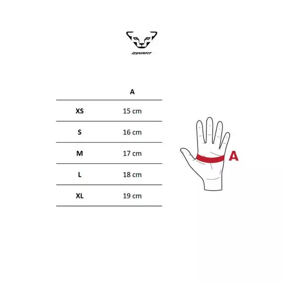 Guanti Lunghi Dynafit Ride Blu Logo Bianco 5 Guanti Lunghi Dynafit Ride Blu Logo Bianco - immagine 3